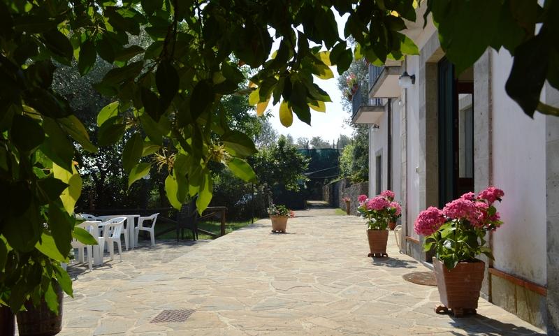 فندق Il Casale سورينتو المظهر الخارجي الصورة
