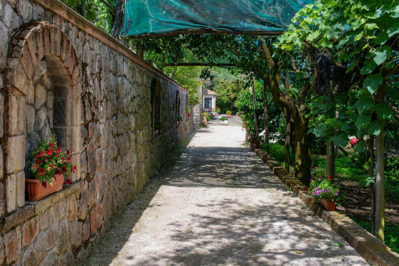 فندق Il Casale سورينتو المظهر الخارجي الصورة