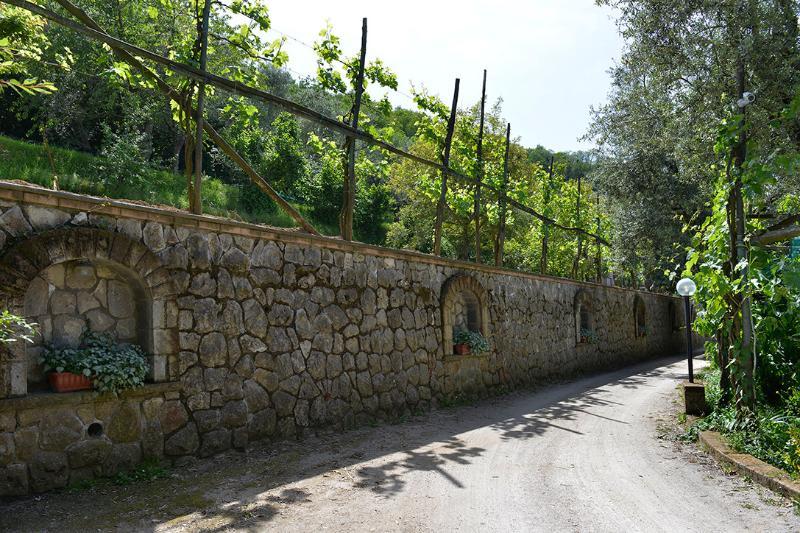 فندق Il Casale سورينتو المظهر الخارجي الصورة